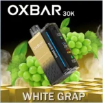 OXBAR 30K Magic Maze 2 Disposable Vape In UAE - Image 16